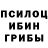 Галлюциногенные грибы Cubensis Darya Igumnova