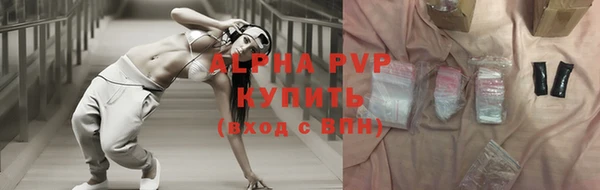 стаф Алексин