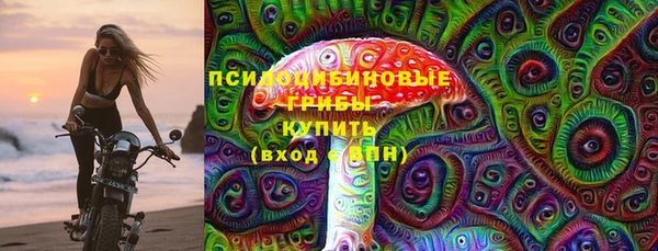 стаф Алексин