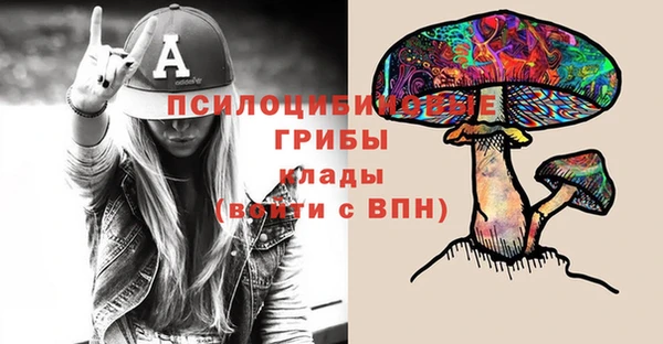дурь Алзамай