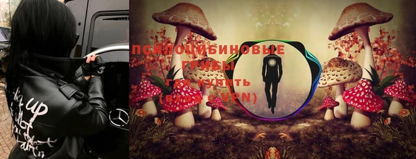 стаф Алексин