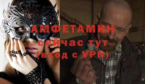 стаф Алексин